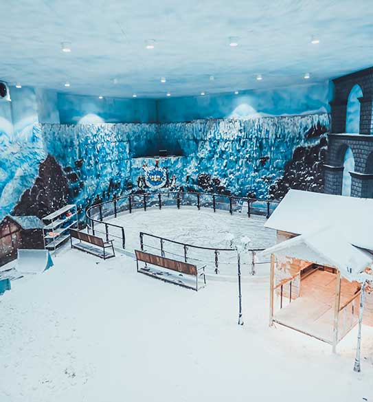 entertainment and hospitality image