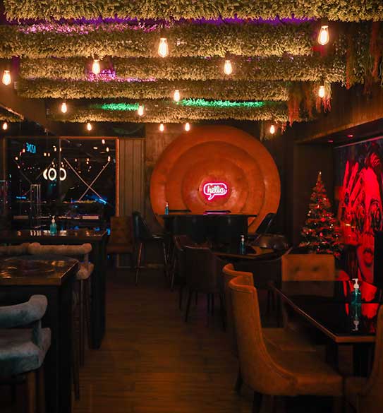 entertainment and hospitality image